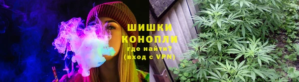 сатива Ростов
