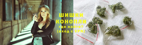 сатива Ростов