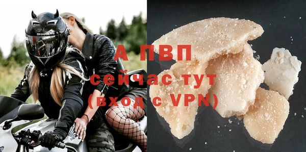 стафф Россошь