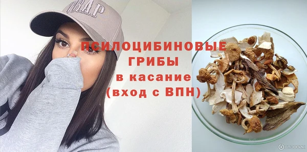 стафф Россошь