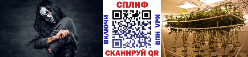 Каннабис семена  Кириллов 